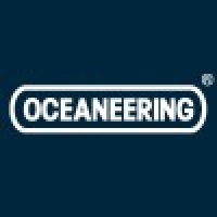 Assistant Project Manager 
