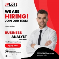 Business Analyst