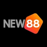 New88dkcom